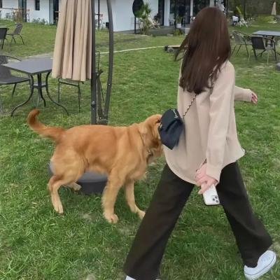 乱世姻缘